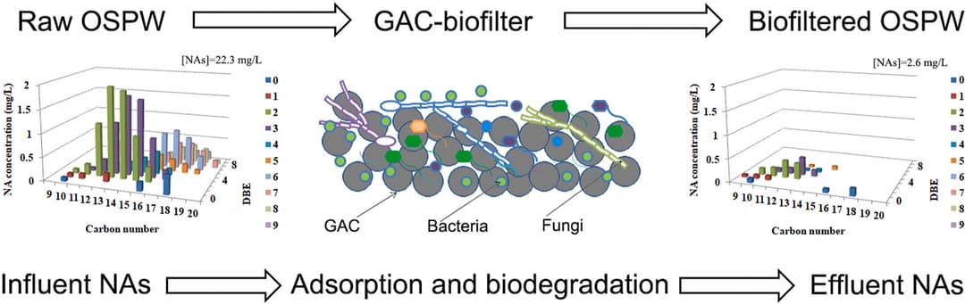 Biological Activated Carbon (BAC) Treatment System