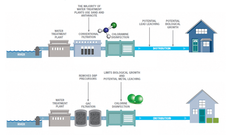 BAC control of DBP formation