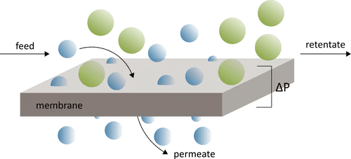 Membrane Filtration Explained: MF vs UF vs NF vs RO